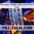 Kamagra 100Mg Jalea Oral Cómo Usar 06